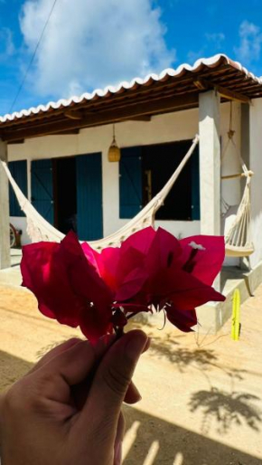 Casa sertão no mar